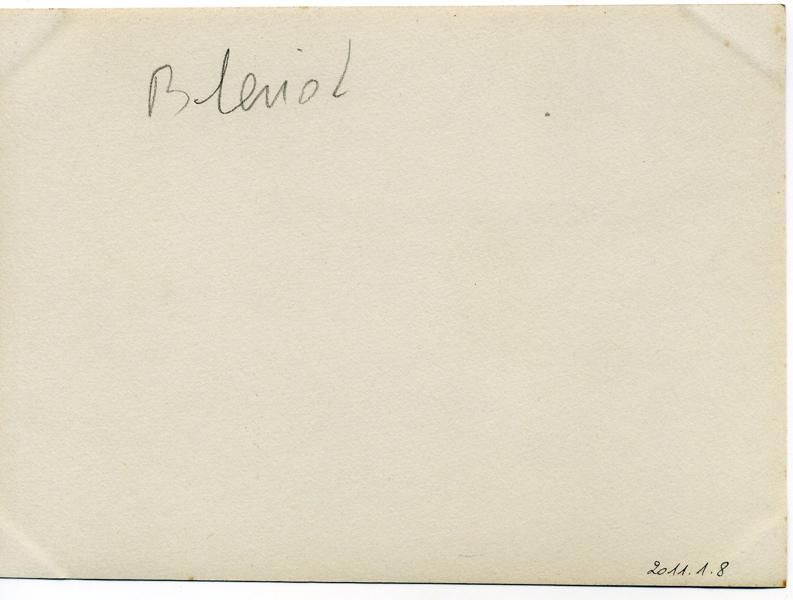 Monoplan Blériot en vol_1