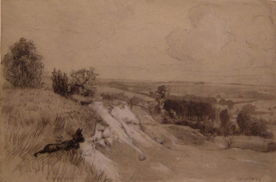 Chien regardant un paysage des environs de Nesles la Vallée_0