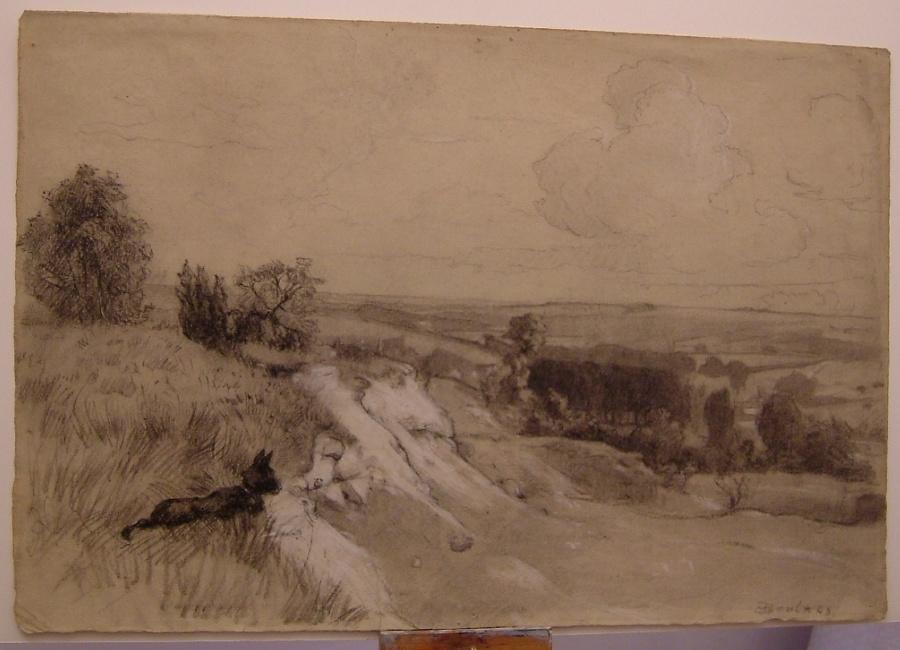 Chien regardant un paysage des environs de Nesles la Vallée_1