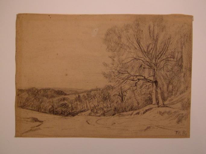Paysage_0