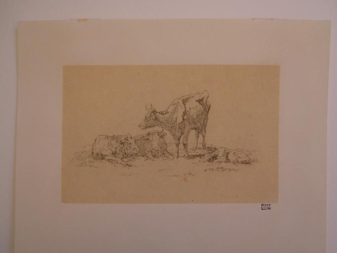 Etude de bovins (titre factice)_0