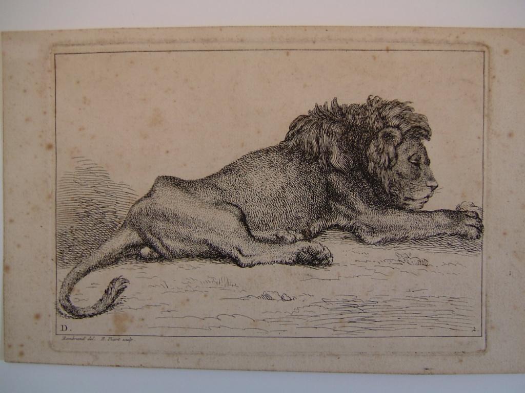 Lion couché, Bernard Picart, 1ère moitié 18e siècle