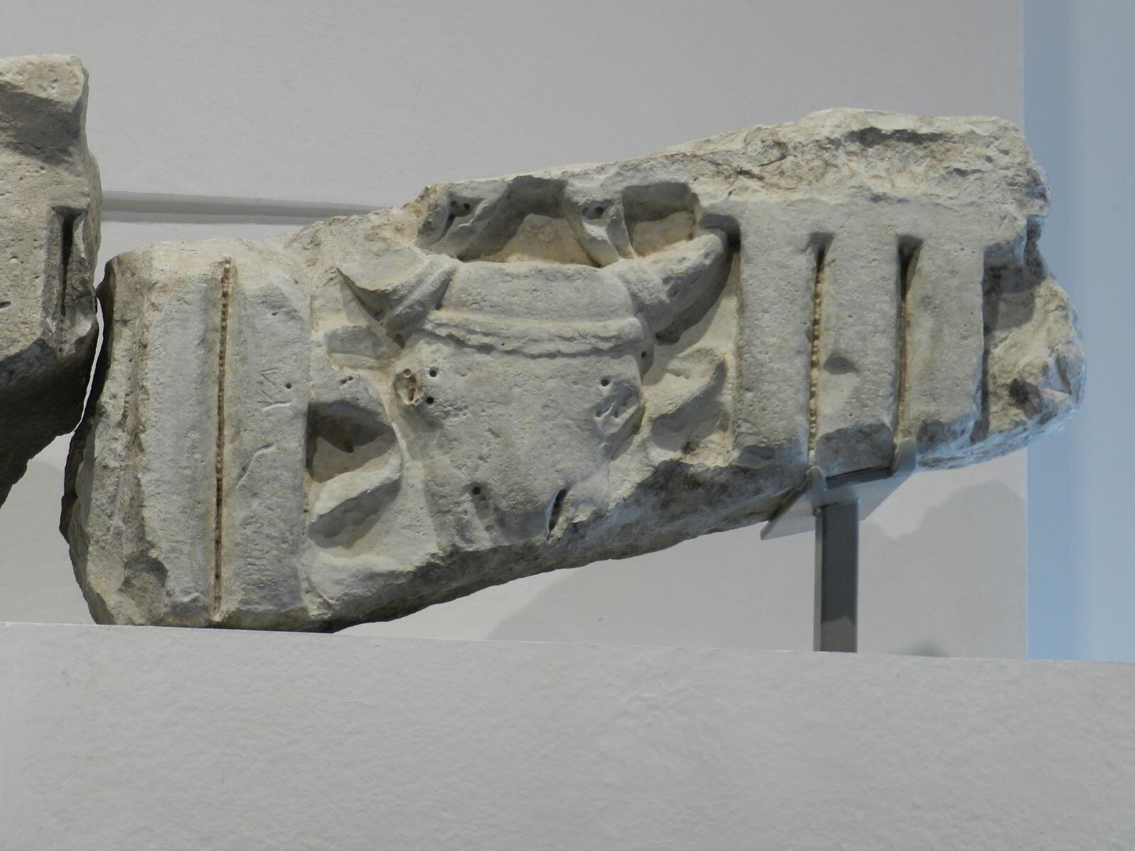 Frise dorique aux bucrânes_0