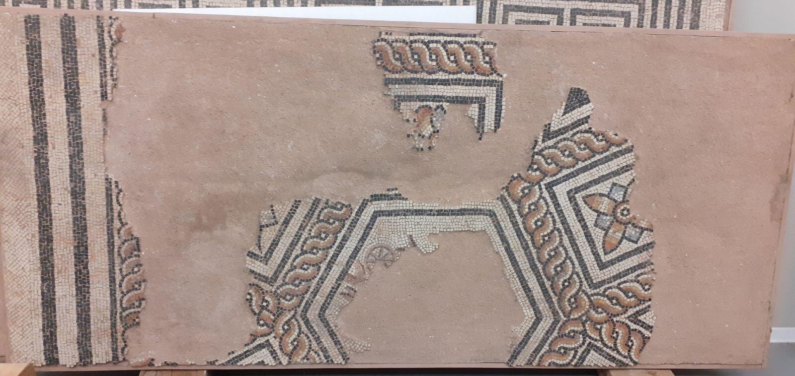 Mosaïque des Néréides_4