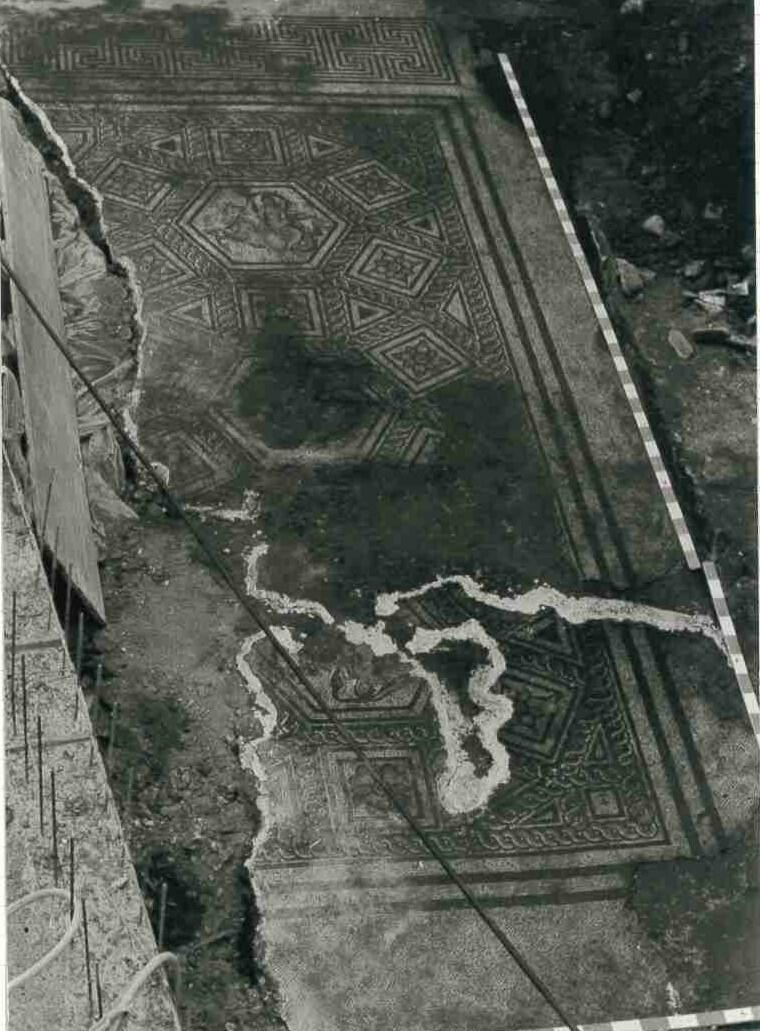 Mosaïque des Néréides_1