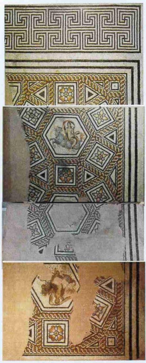 Mosaïque des Néréides_0