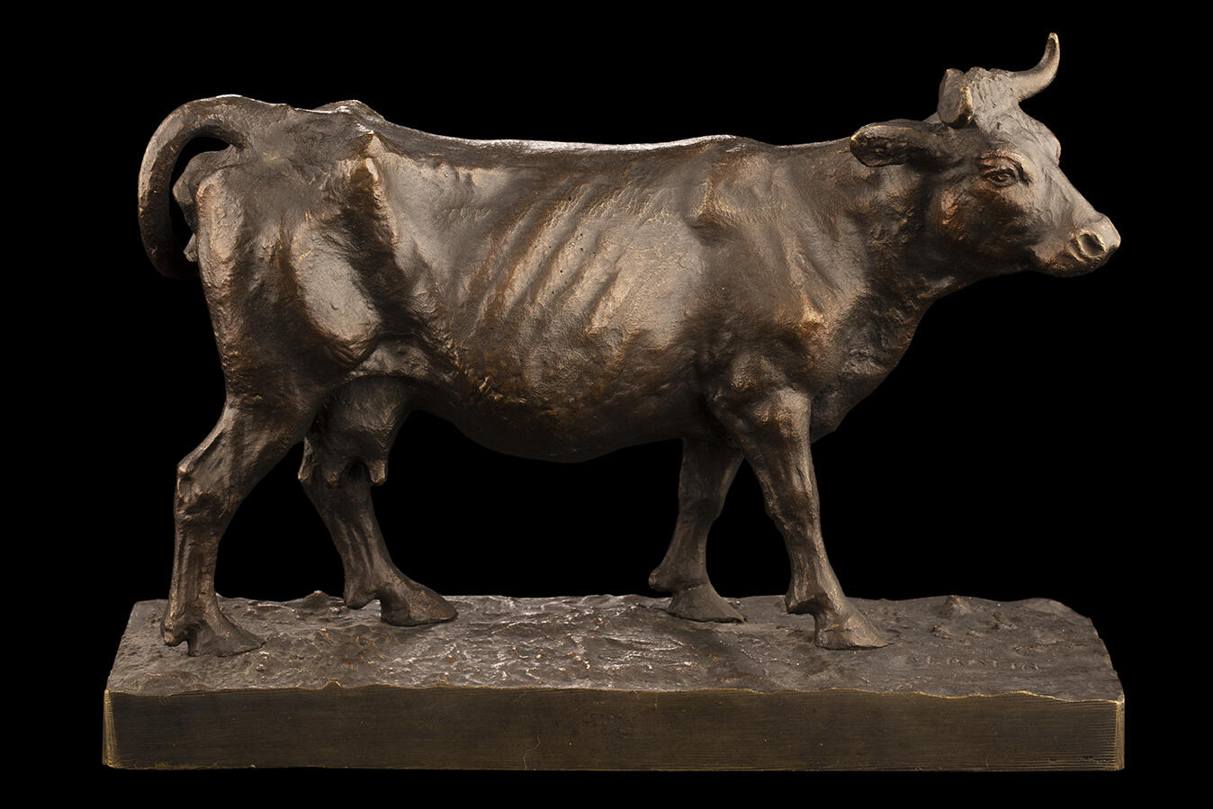 Vache, Christophe Fratin