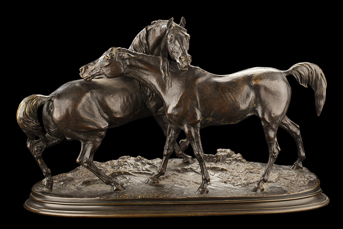 Cheval et jument_0