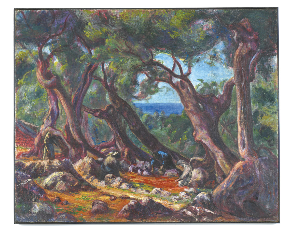 Oliviers de Majorque_0