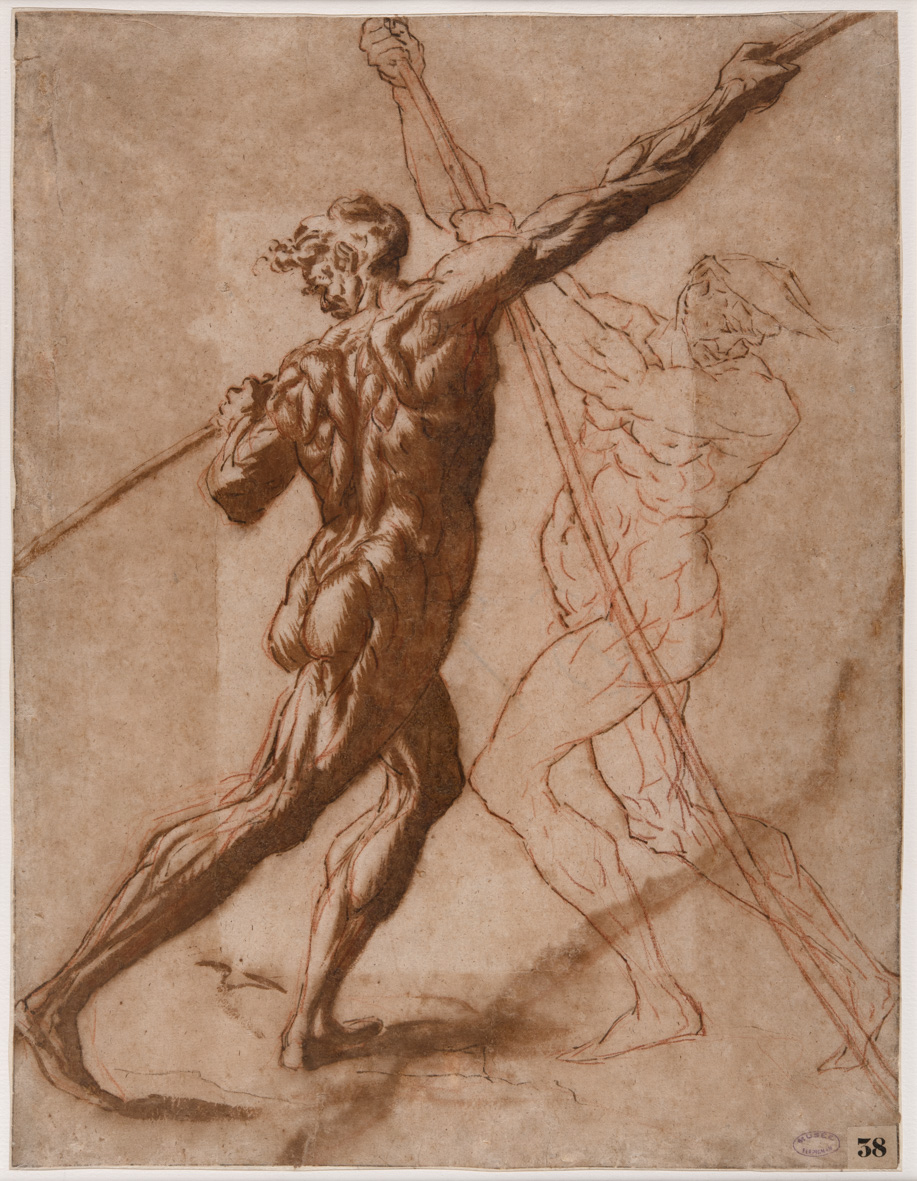 Etude d'homme au trait, Luca Signorelli, 1400-1600