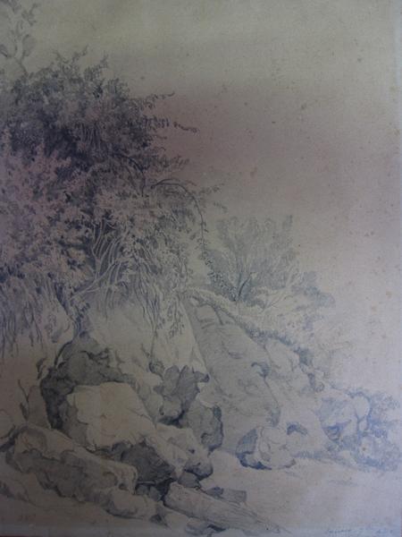 Un roc et des buissons près d'un bord escarpé_0