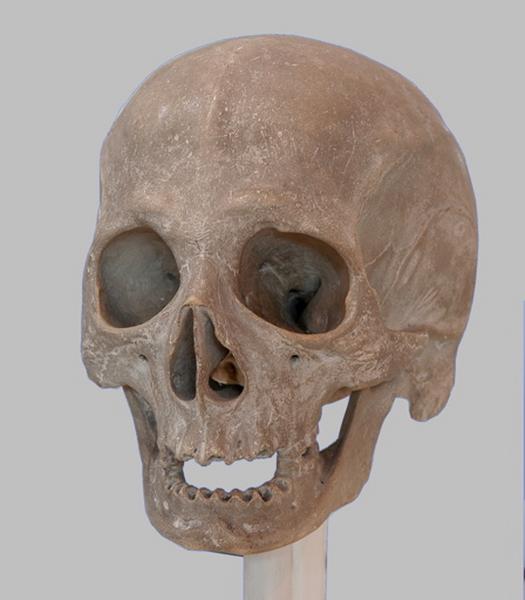 Crâne ou Vanité, Ligier Richier, 16e siècle