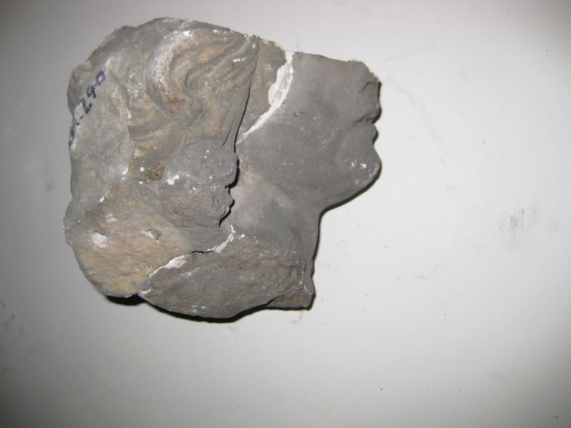 deux fragments d’une tête féminine
