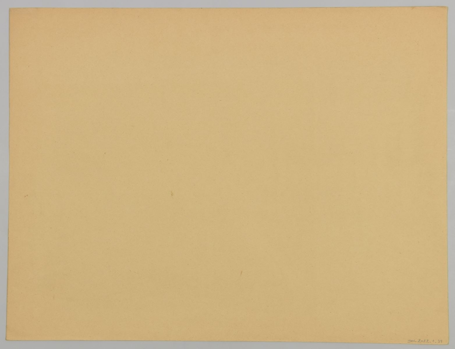 Paysage breton (titre factice)_1