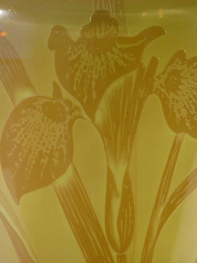Vase aux iris (titre factice)_5