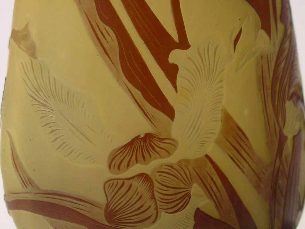 Vase aux iris (titre factice)_5