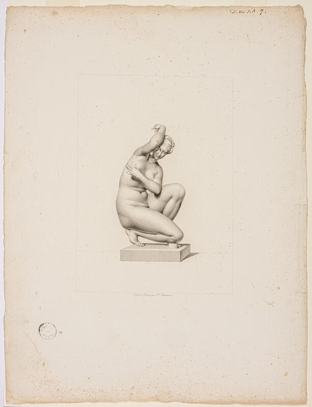 Vénus au bain ; Le Musée français_0