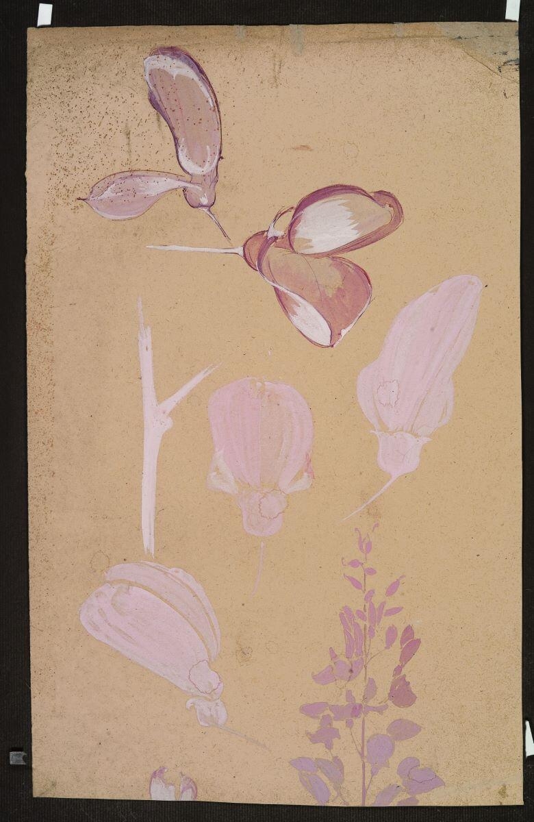 Etude florale (recto) ; Frise florale (verso), Louis Guingot, 4e quart 19e siècle, 1ère moitié 20e siècle