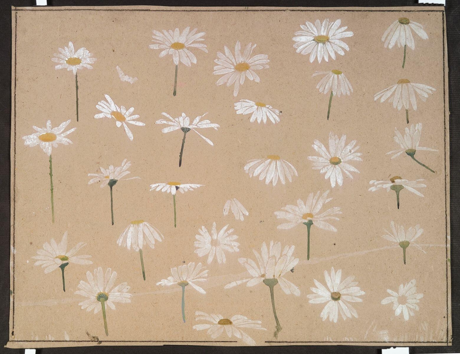 Etude de marguerites (recto) ; Frise de feuilles d'acanthe (verso), Louis Guingot, 4e quart 19e siècle, 1ère moitié 20e siècle