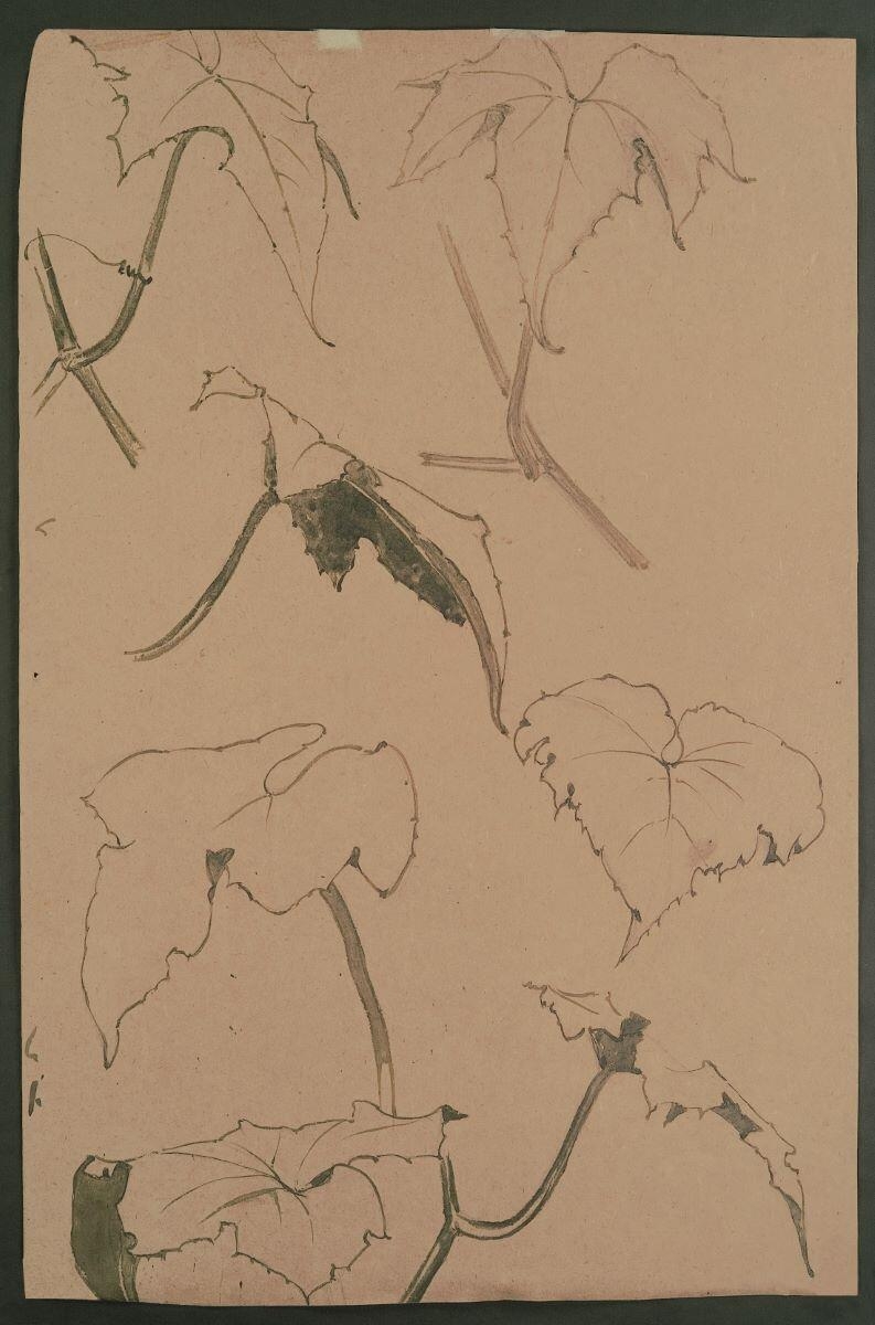 Etude de feuillage (recto) ; Etude pour un décor mural au motif de rose (verso), Louis Guingot, 4e quart 19e siècle, 1ère moitié 20e siècle