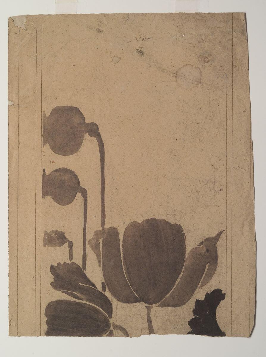 Frise de pavot (recto) ; Etude de feuilles (verso), Louis Guingot, 4e quart 19e siècle, 1ère moitié 20e siècle