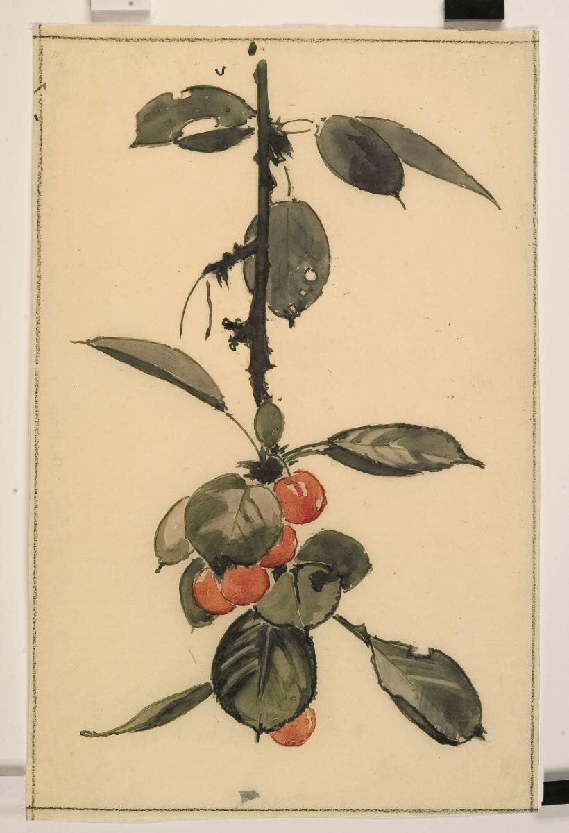 Branche de cerisier, Louis Guingot, 4e quart 19e siècle, 1ère moitié 20e siècle