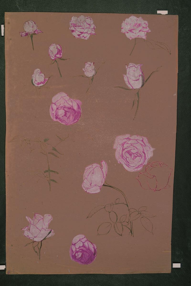 Etude de roses, Louis Guingot, 4e quart 19e siècle, 1ère moitié 20e siècle
