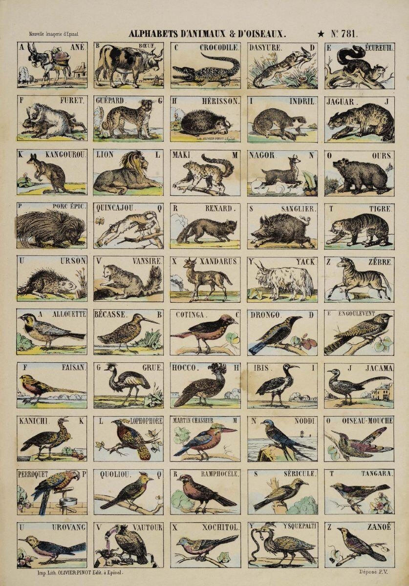 ALPHABETS D’ANIMAUX & D'OISEAUX. N°.781. (titre inscrit)_0