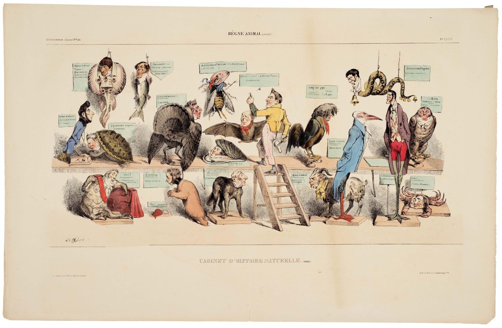 La Caricature (Journal) N°.131. / RÈGNE ANIMAL (suite). / CABINET D’HISTOIRE NATURELLE. (suite) Pl. 271, 272. (titre inscrit)_0