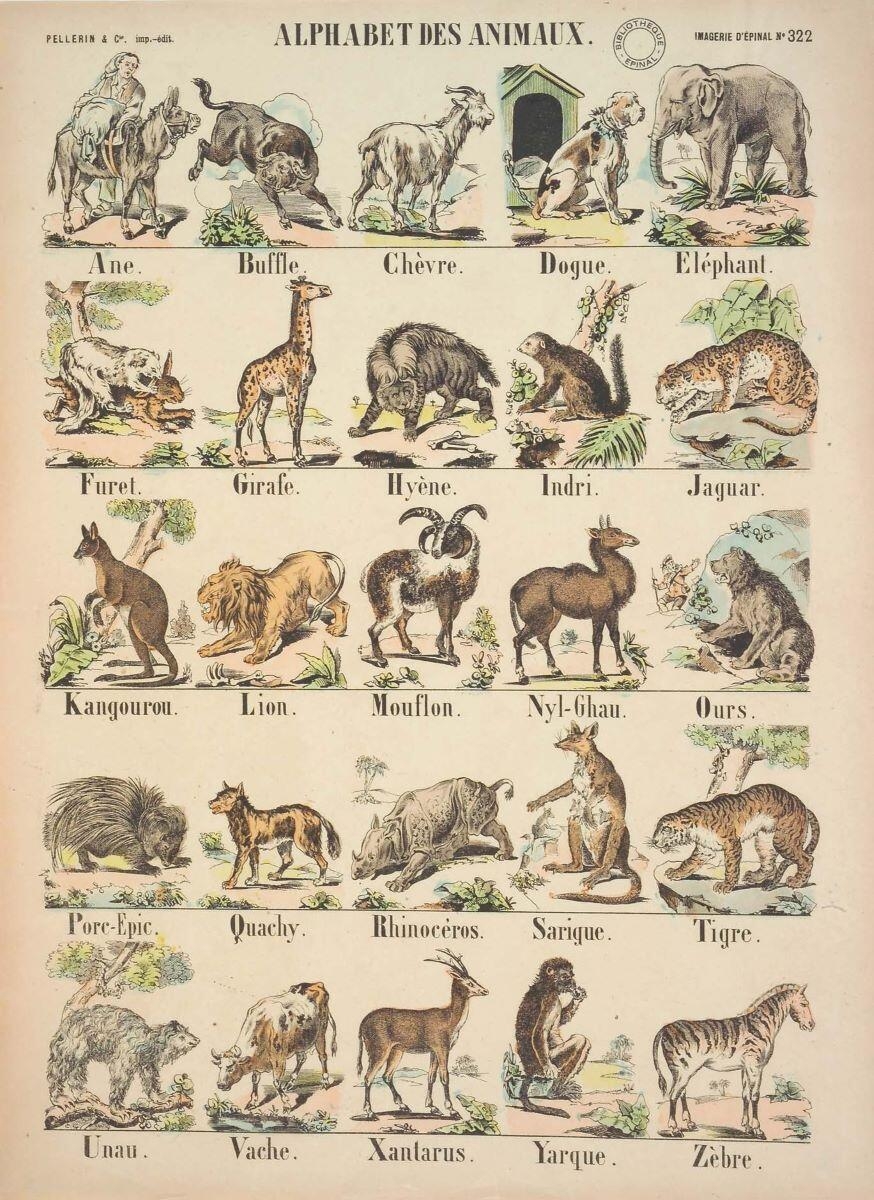 ALPHABET DES ANIMAUX. (titre inscrit)_0