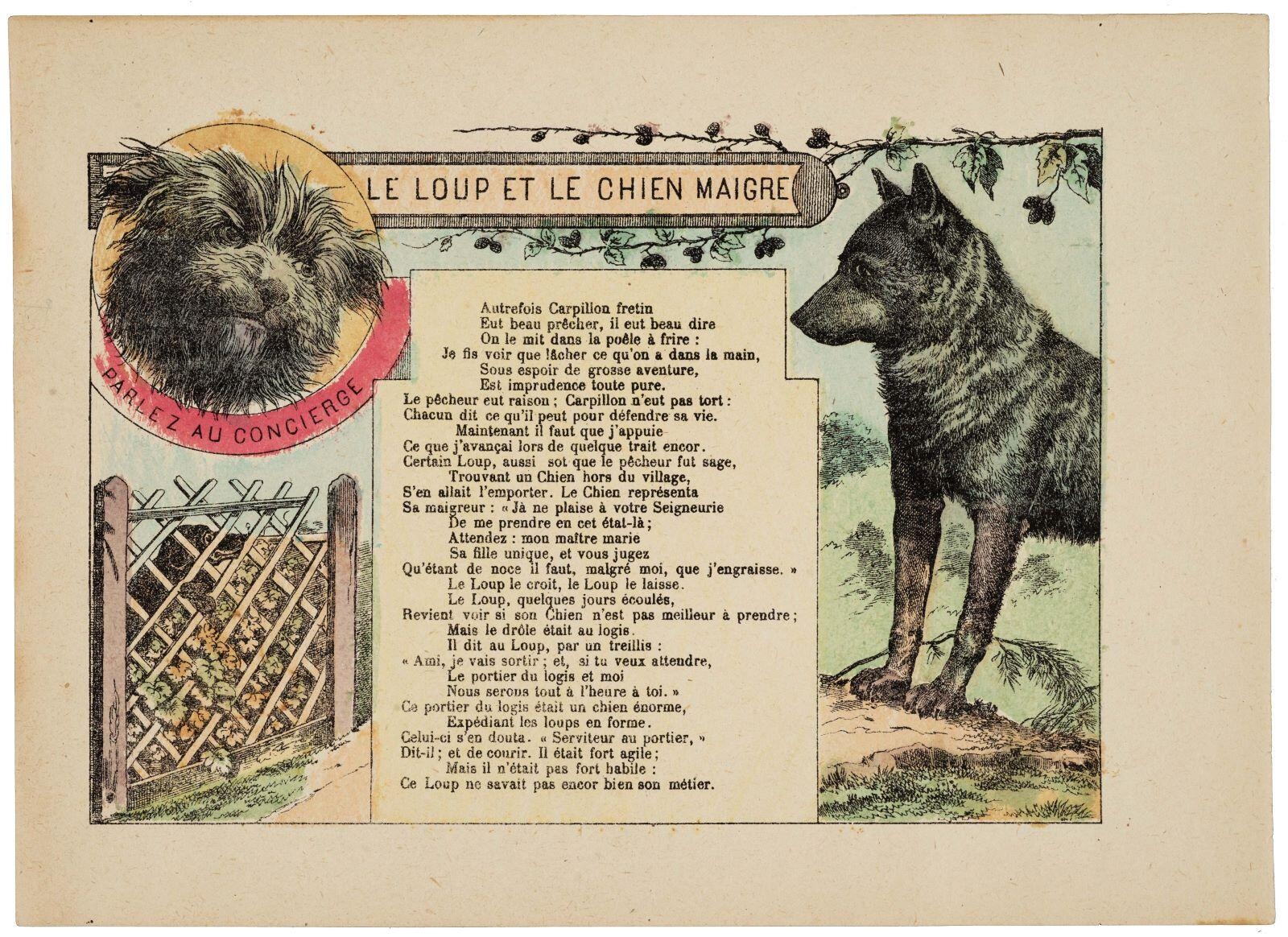 LE LOUP ET LE CHIEN MAIGRE (titre inscrit)_0