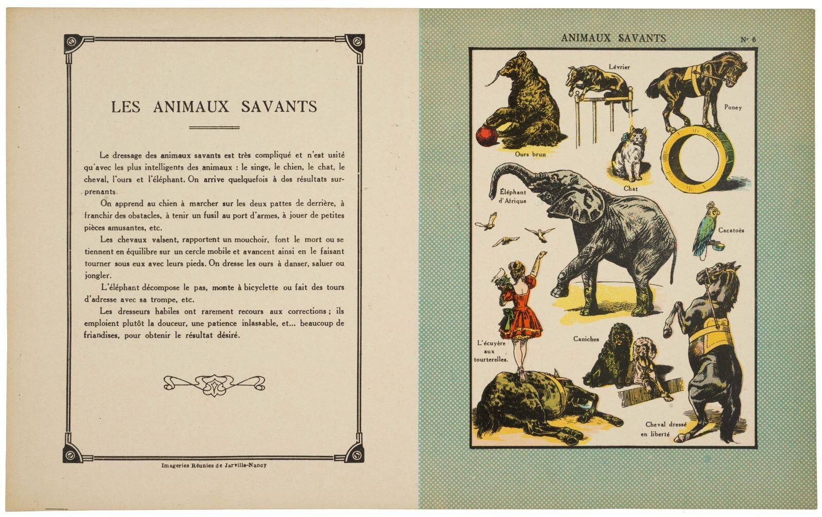 ANIMAUX SAVANTS N° 6 (titre inscrit), Victor Huen, 1919 après