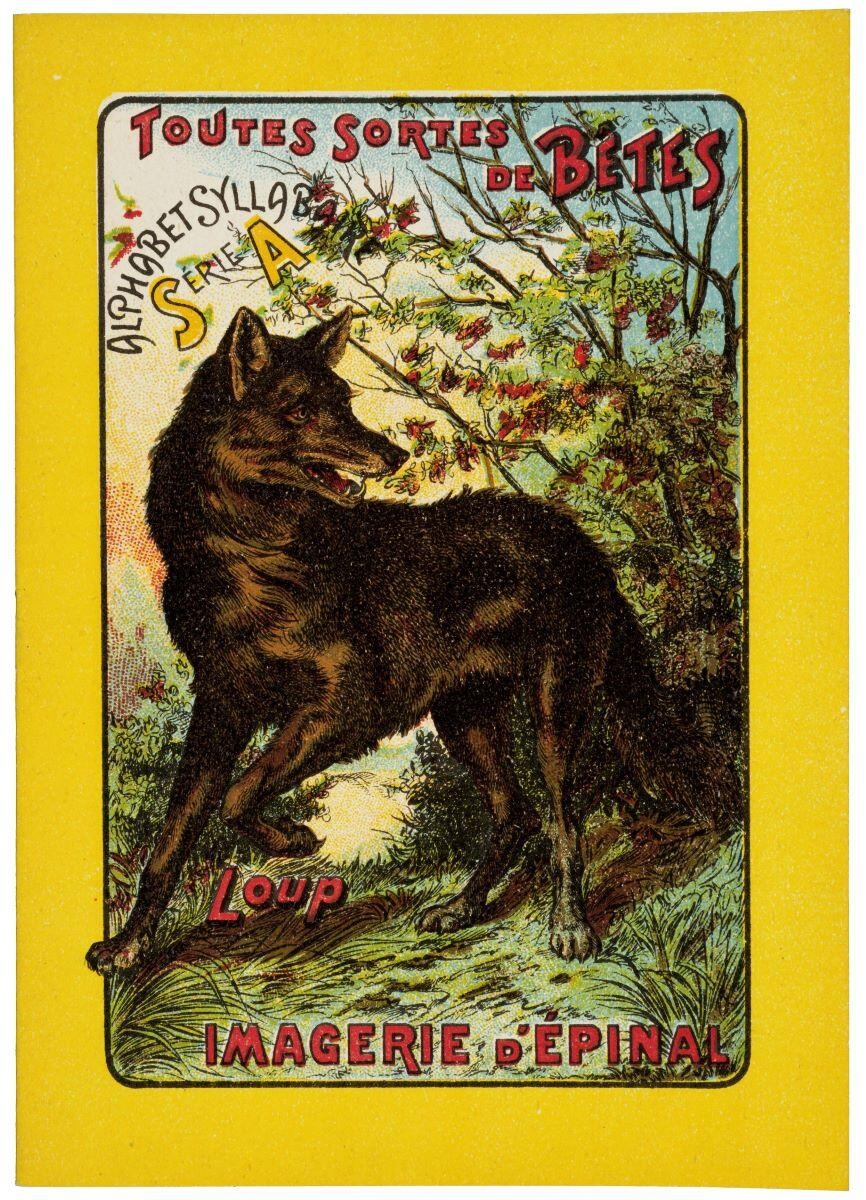 TOUTES SORTES / DE BÊTES / ALPHABET SYLLABAIRE / SÉRIE A / Loup (titre inscrit)_0