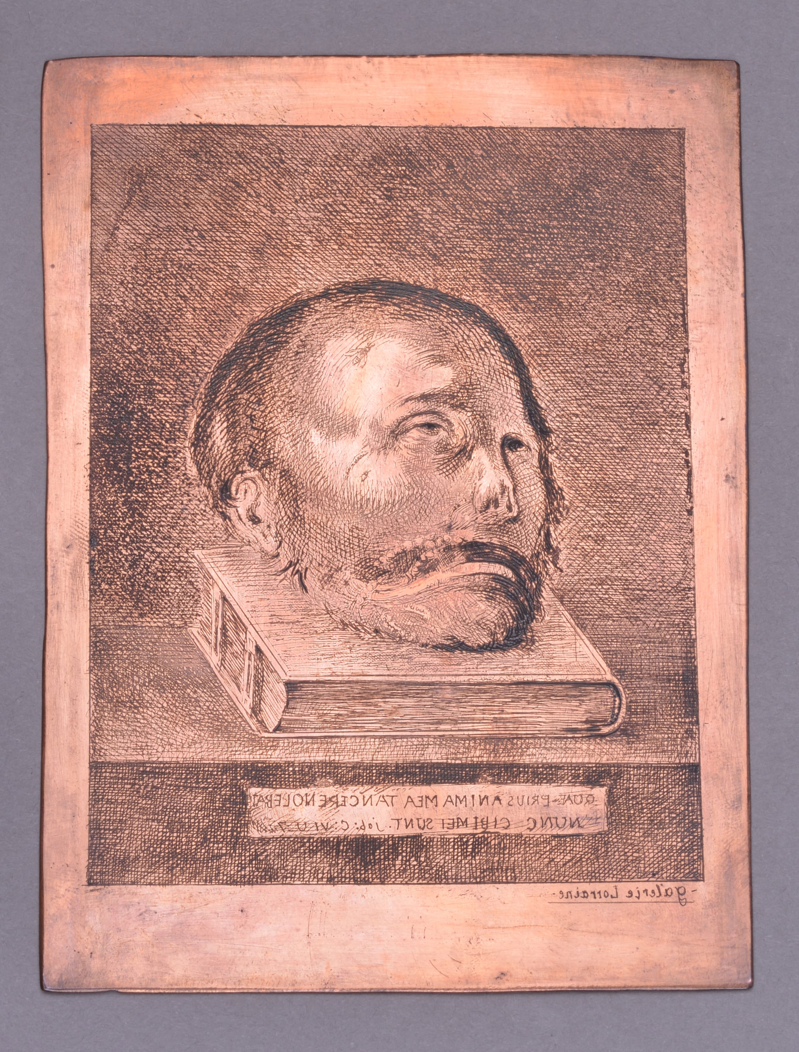 Vanité dite Tête en décomposition sur un livre d'après Jacopo Ligozzi, Charles François Friry, 1862 vers,1877