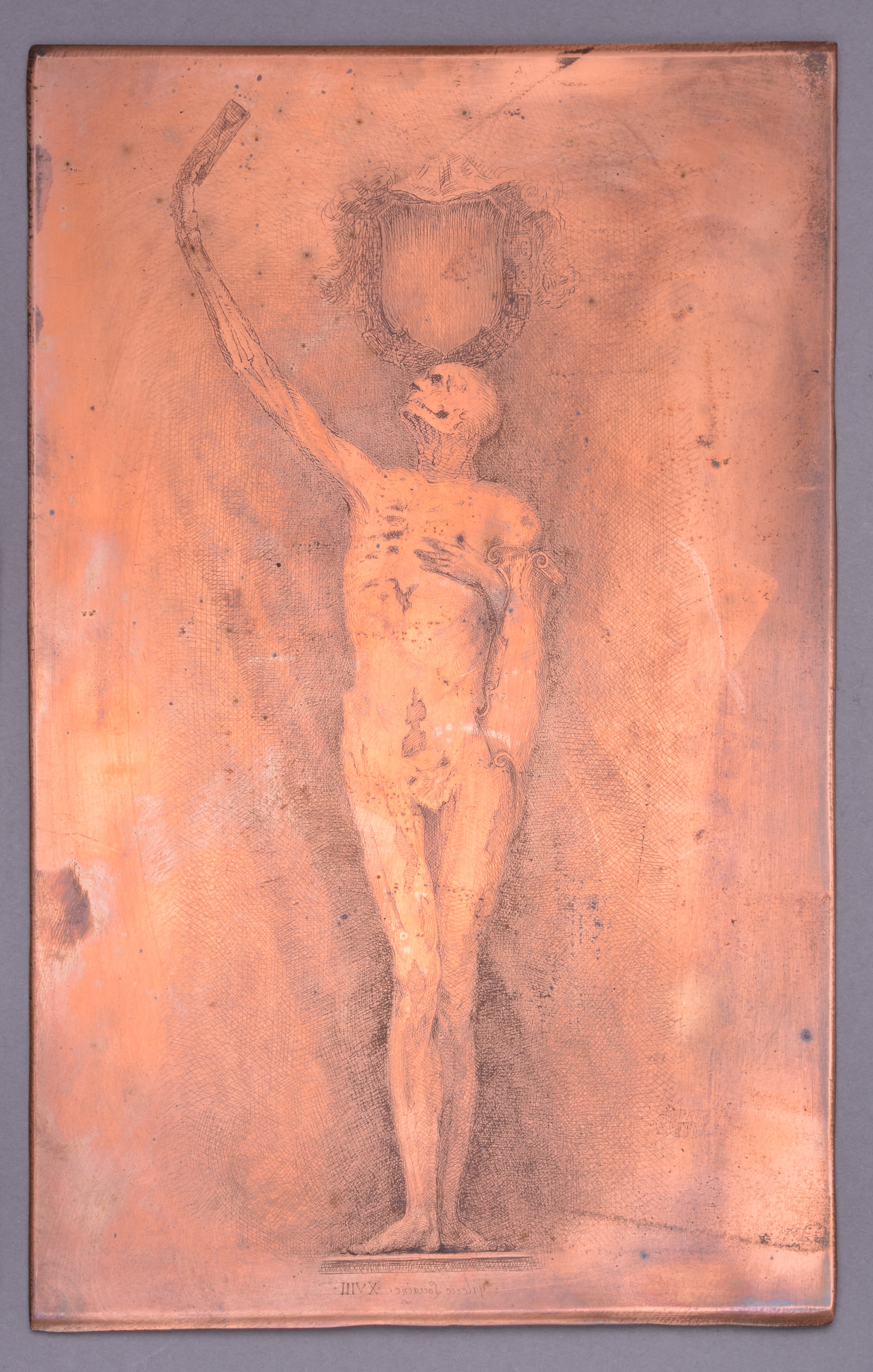 Ecorché de Ligier Richier à Bar, Charles François Friry, 1862 vers,1871