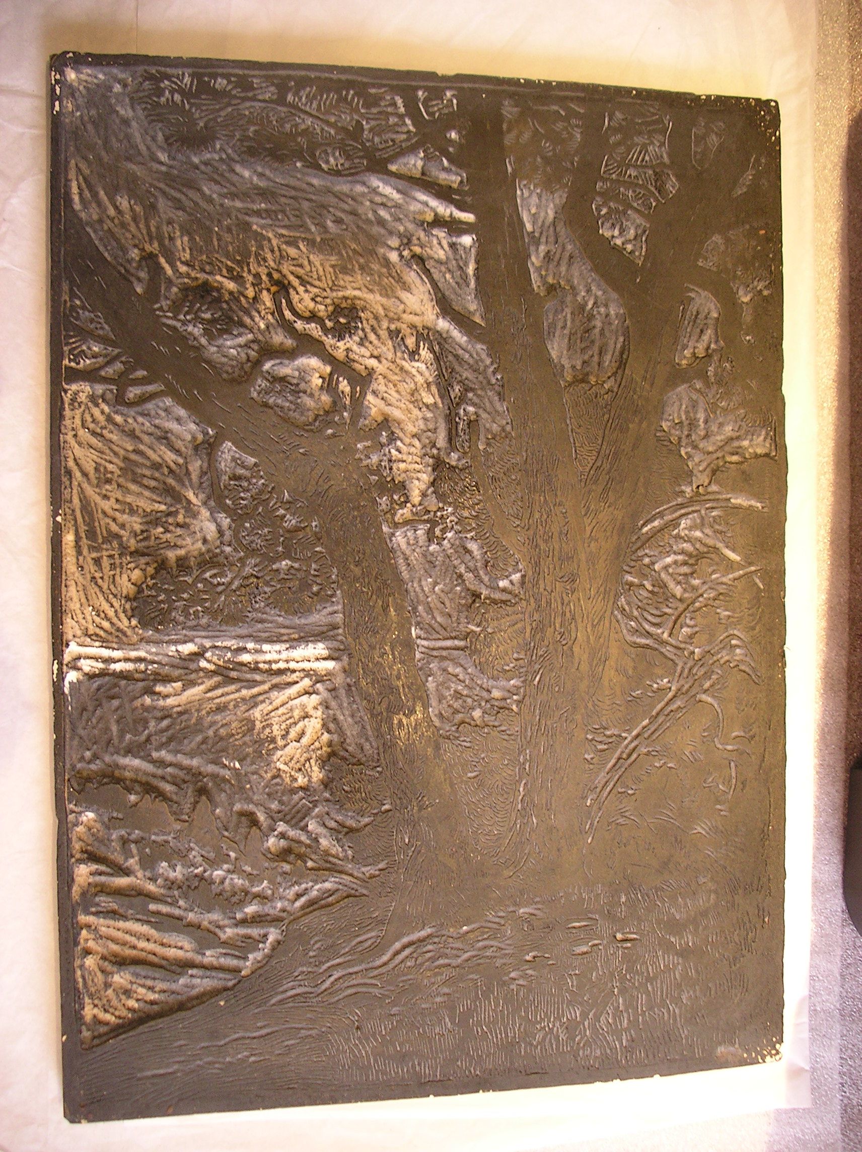 Lot de 3 plaques représentant des arbres, Pierre Waidmann, années 1930?