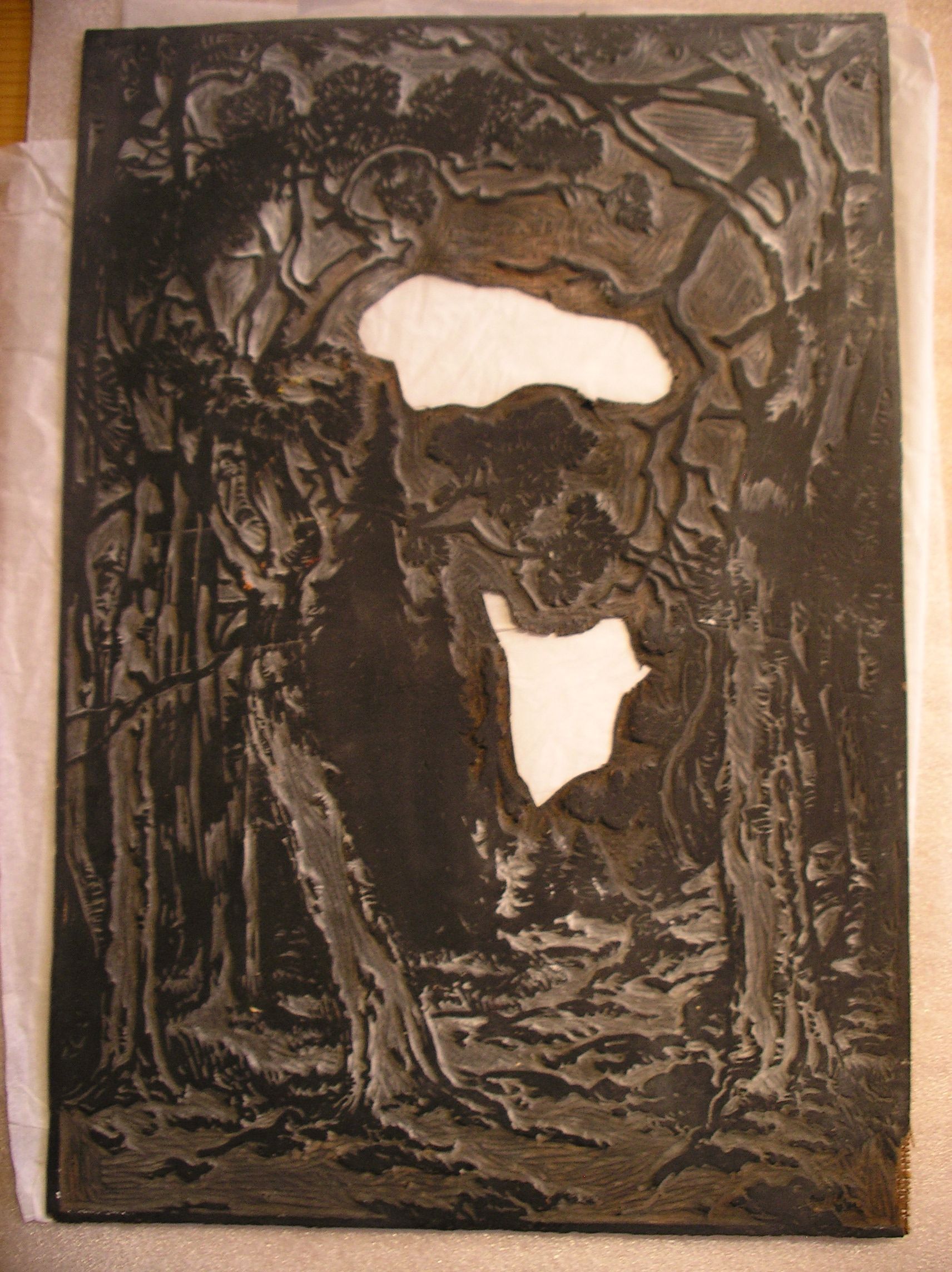 Lot de 5 plaques représentant un sous-bois, Pierre Waidmann, années 1930?
