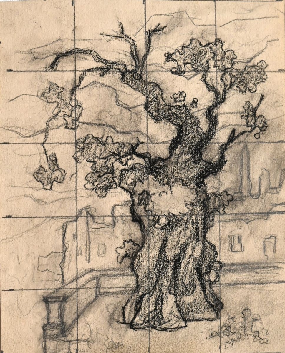 Saint-Dié, Le tilleul de la cathédrale I (titre factice)_0