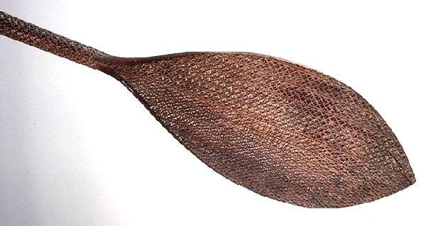 Pagaie_0