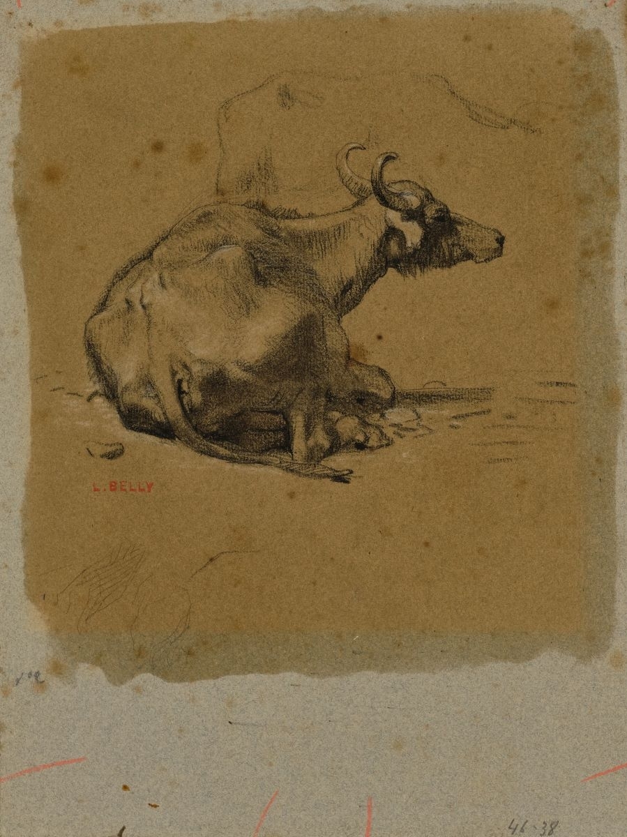 Etude de buffle en Orient, Léon Belly, 1850 après