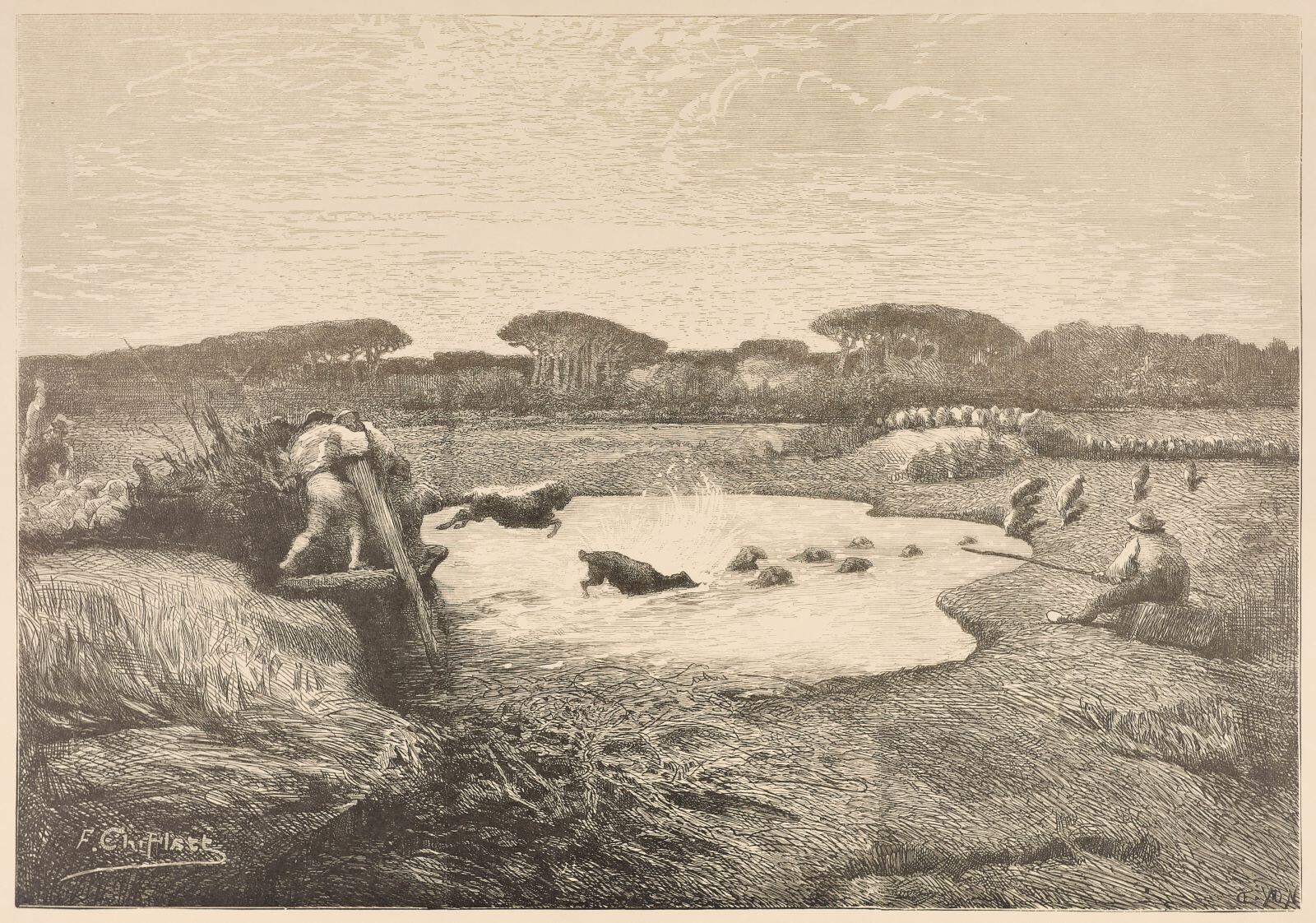 La lessive des moutons, campagne de Rome, François-Nicolas Chifflart, 1882