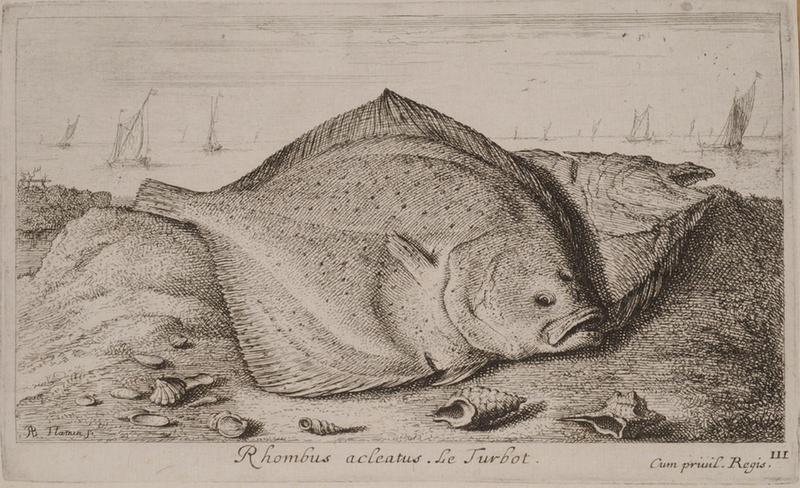 Troisième partie de poissons de mer (titre inscrit)_2