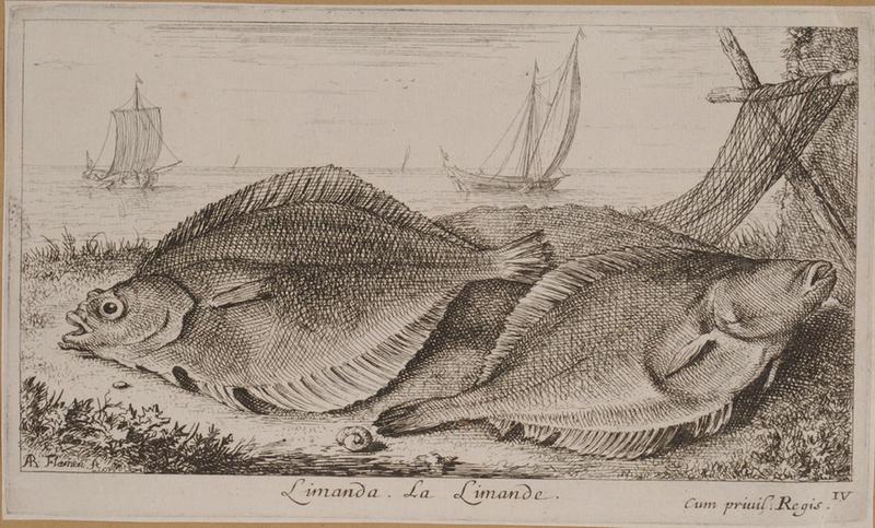 Troisième partie de poissons de mer (titre inscrit)_3