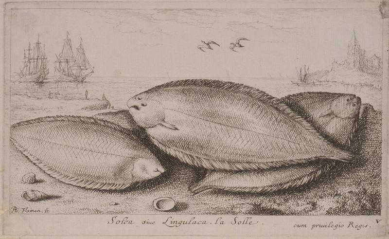 Troisième partie de poissons de mer (titre inscrit)_4