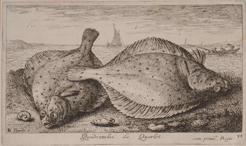 Troisième partie de poissons de mer (titre inscrit)_5