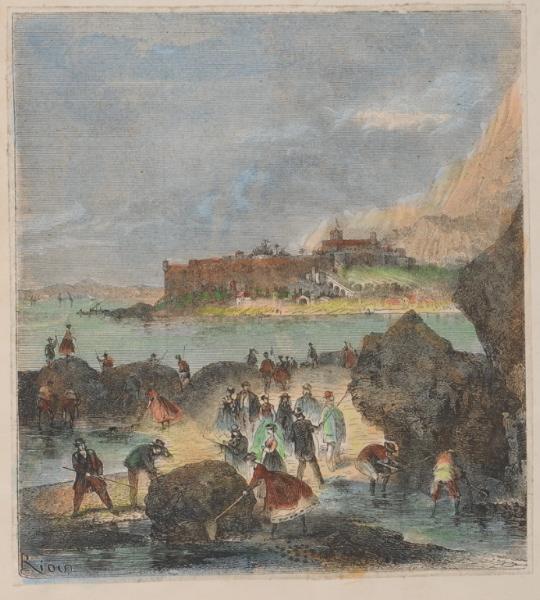 Pêche à la crevette_0