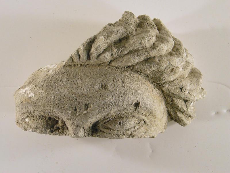 tête (fragment)