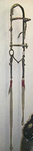 Selle_1