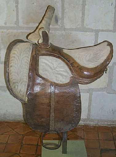 Selle d'amazone_0