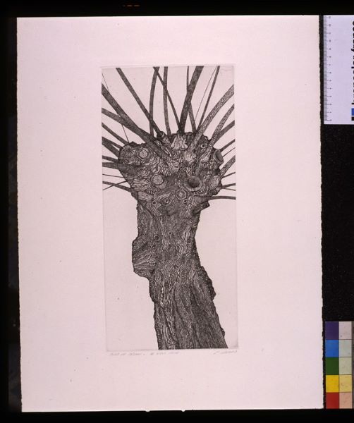 Le Vieux saule, Jacques Linard, 20e siècle